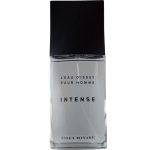 Issey Miyake L'eau D'issey Pour Homme Intense