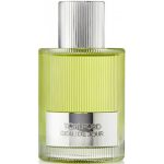 Tom Ford Beau De Jour EDP 100ml Men