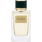 Dolce & Gabbana Velvet Vetiver 100ml Unisex